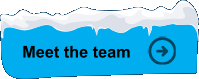 meet the team